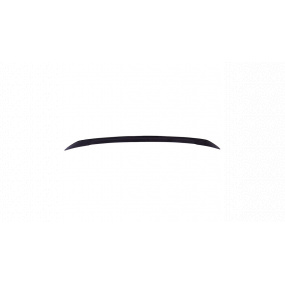 Zadní křídlo Tesla Model 3 Lip Gloss Black