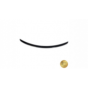 Zadní křídlo Mercedes-Benz CLS C219 Lip Gloss Black