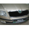 Zimní clona chladiče Škoda Octavia II 2004-2008
