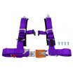 Sportovní pásy 4p 2" Fialové - Offroad