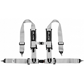 Sportovní pásy Slide V2 Stříbrné 4P 3" E4